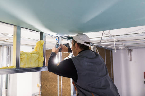 Best Insulation for Specific Applications in Franklin, CA